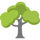 Des Moines Tree Removal